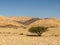 Arava desert