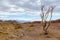 Arava desert valley landscape near the Shkhoret Canyon