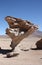 Arbol de Piedra, Stone Tree in Atacama Desert, Bolivia