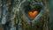 Arbor Day animation: Heart-shaped tree hollow, nature\'s love.
