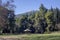 Arbor on a green lawn in the mountains