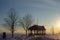 Arbor near a frozen Lake Ontario