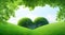 Arboreal Affection: A Heart Formed by Nature\\\'s Embrace.