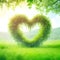 Arboreal Affection: A Heart Formed by Nature\\\'s Embrace.