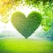 Arboreal Affection: A Heart Formed by Nature\\\'s Embrace.