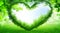 Arboreal Affection: A Heart Formed by Nature\\\'s Embrace.