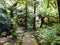 Arborescent ferns and other tropical plants in Parque da Pena Botanical garden, Sintra, Portugal