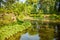 Arboretum Wojslawice, pond with lush vegetation, summer afternoon