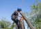 Arborist cutting tree stem