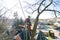 Arborist man cutting a branches with chainsaw and throw on a ground. The worker with helmet working at height on the trees. Lumber