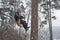 Arborist sawing wood chainsaw at the height in a snowstorm