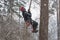 Arborist sawing wood chainsaw at the height in a snowstorm