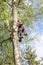 Arborist throws a loop above