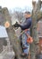 Arborist At Work