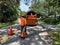 Arborist working in a residential neighborhood