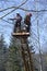 Arborists cut branches of a tree using truck-mounted lift
