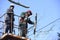 Arborists cut branches of a tree using truck-mounted lift