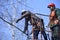 Arborists cutting branches of a tree with chainsaw using truck-mounted lift, city park. Kyiv, Ukraine