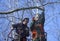 Arborists cutting branches of a tree with chainsaw using truck-mounted lift, city park. Kyiv, Ukraine