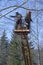 Arborists cutting branches of a tree with chainsaw using truck-mounted lift, city park. Kyiv, Ukraine