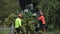 Arborists putting tree branches through Mulcher wood chipper