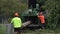 Arborists putting tree trunk through Mulcher wood chipper