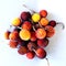 Arbutus Berry Fruit