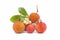 Arbutus fruit