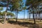 Arcachon Bay, France. Access to the beach Petit Nice, near Arcachon and the dune of Pilat