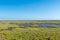 Arcachon Bay, France. The salt meadows of Lege and Ares at low tide