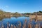 Arcachon Bay, France. View of the countryside near Cap Ferret