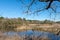 Arcachon Bay, France. View of the countryside near Cap Ferret