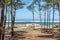 Arcachon Bay, France. View over the sandbank of Arguin from Gascony forest