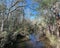 Arcadia Mill Archaeogical Site Elevated Boardwalk Over River