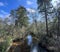 Arcadia Mill Archaeogical Site Elevated Boardwalk Over River