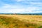 Arcata Bottom Hay Field