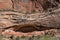Arch alcove in Zion National Park