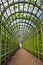 Arch alley in Hampton Court Garden, London, UK