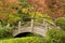 Arch Bridge in a Japanese Garden