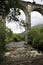 Arch brigge over river amidst trees