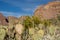 Arch Canyon along Ajo Mountain Drive in Organ Pipe Cactus National Monument in Arizona. Beavertail cactus defocused in foreground