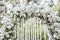 Arch decor with white flowers for a wedding ceremony in nature