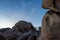 The Arch at Joshua Tree National Park