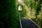 The Arch of Love in South Ural, Russia. Autumn yellow and green tunnel of trees in the forest . Tunnel of love. Rails go