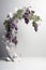 Arch mockup, stage or product display with grape vine and grapes.