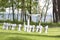 Arch for on-site registration is decorated with flowers and white cloth.