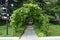 Arch and trellis, entwined vine and lantern in a beautiful Park in the summer