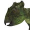 Archaeoceratops Dinosaur Head