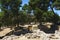 Archaeological landmark - Knossos Palace on the island of Crete, Greece, April 2018.