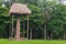 Archaeological Site: Quirigua: the tallest stone monumental sculpture ever erected in the New World